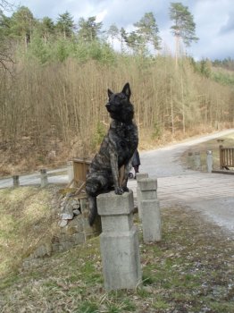 dutch shepherd, Bony, hollandse herder, holandský ovčák